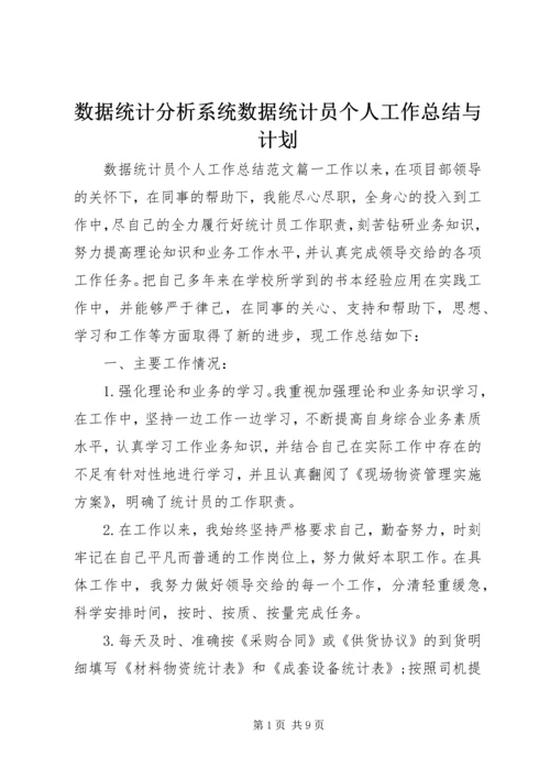 数据统计分析系统数据统计员个人工作总结与计划.docx