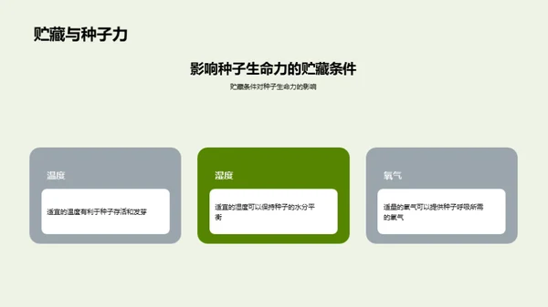 种子生命力研究