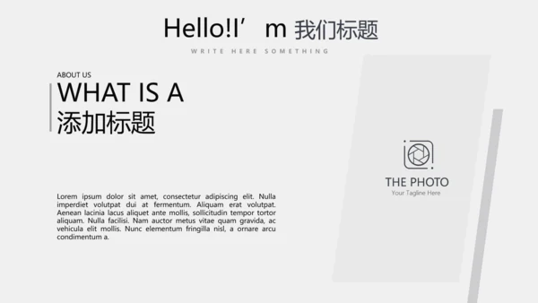 灰色公司产品介绍宣传通用PPT动态模板