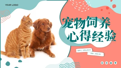 莫兰迪色卡通风宠物饲养心得经验分享PPT模板