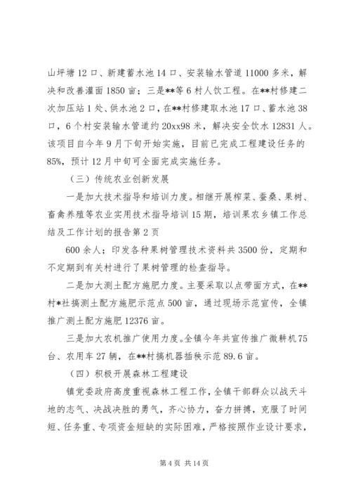 乡镇工作总结及工作计划的报告.docx