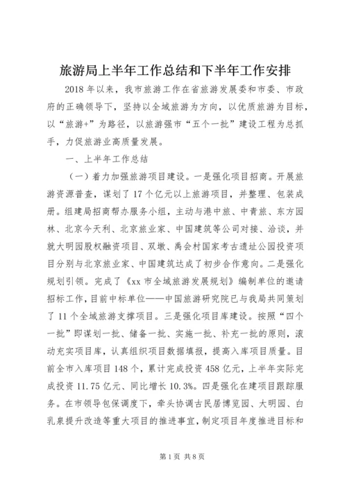 旅游局上半年工作总结和下半年工作安排.docx