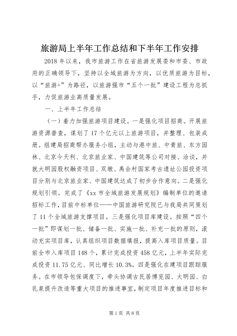 旅游局上半年工作总结和下半年工作安排.docx