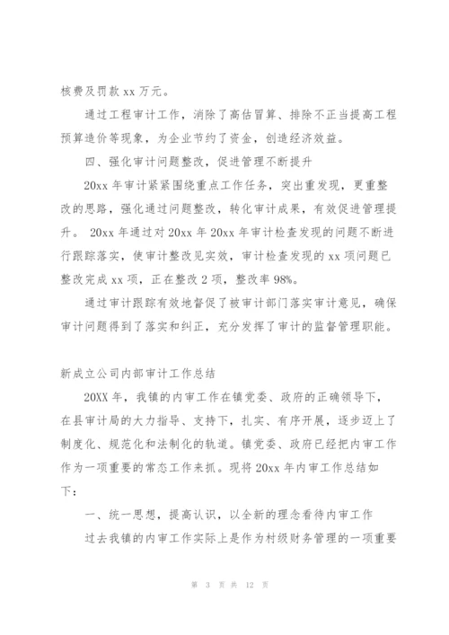 新成立公司内部审计工作总结.docx