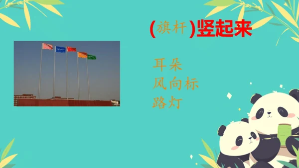 19大象的耳朵  课件