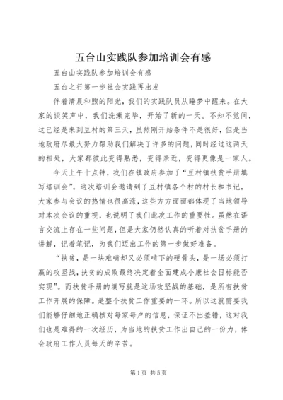 五台山实践队参加培训会有感.docx