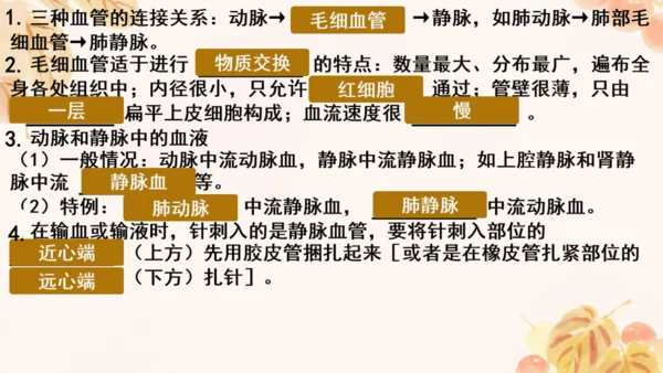 第四单元第四章人体内物质的运输 复习课件(共23张PPT)人教版七年级下册