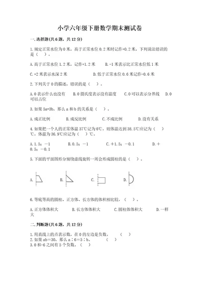 小学六年级下册数学期末测试卷及参考答案（能力提升）