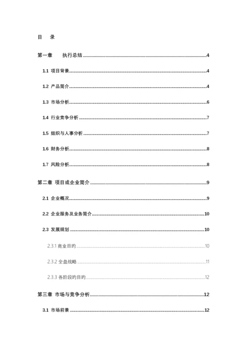 互联网项目计划书.docx
