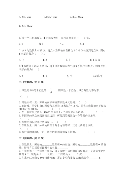 苏教版六年级数学小升初试卷【达标题】.docx