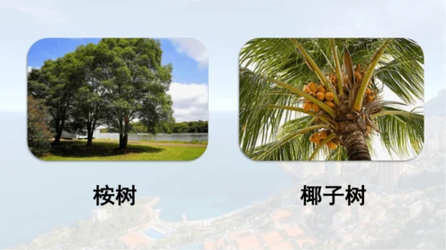 第19课 《海滨小城》  课件