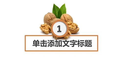 休闲美食美味坚果干果宣传画册PPT模板