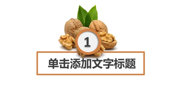 休闲美食美味坚果干果宣传画册PPT模板