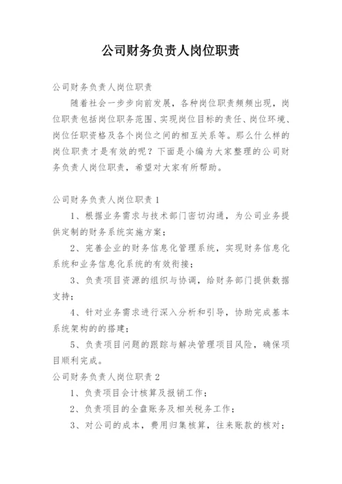 公司财务负责人岗位职责.docx