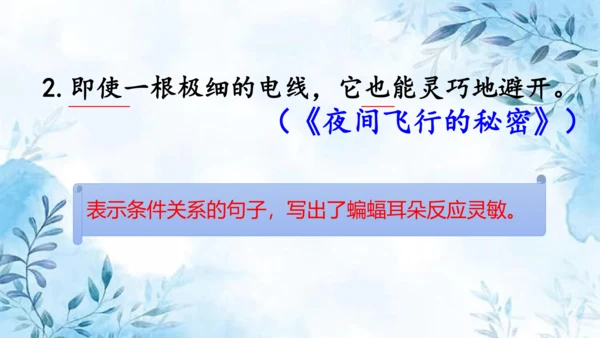 部编版语文四年级上册第二单元复习课件