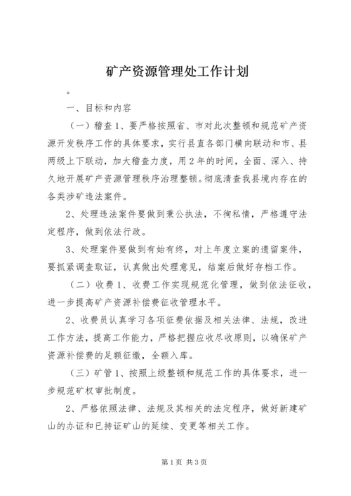 矿产资源管理处工作计划.docx