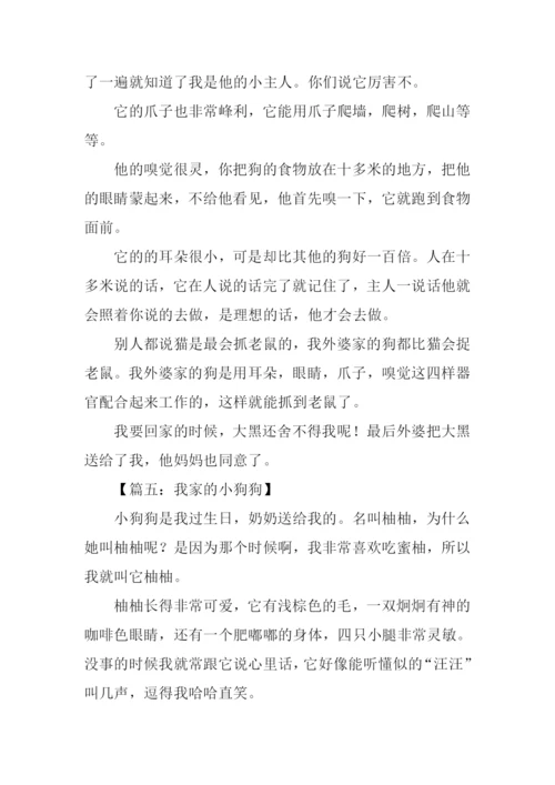 我家的小狗作文450字-1.docx