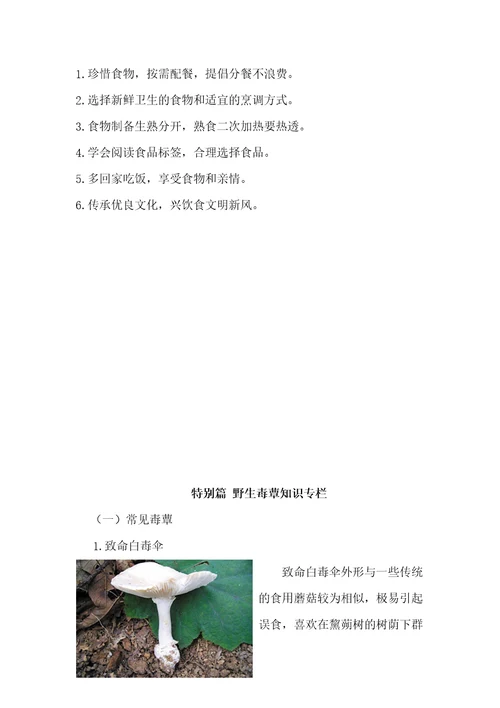 营养膳食指导宣传
