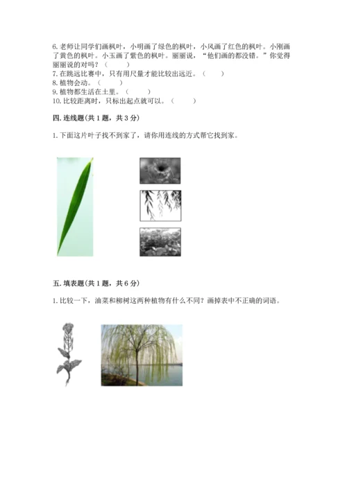 教科版一年级上册科学期末测试卷精品【全国通用】.docx