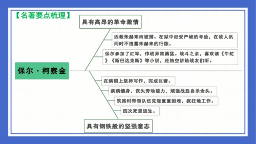 名著导读《钢铁是怎样炼成的》复习课件-2023-2024学年统编版语文八年级下册(共63张PPT)