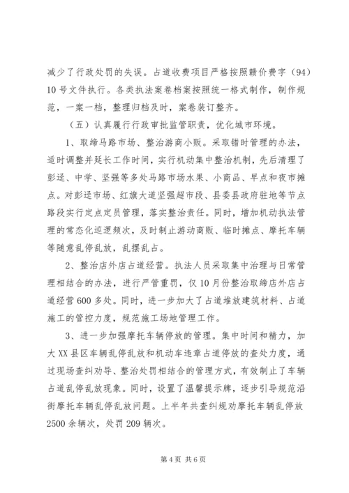 城管大队行政执法自查自纠报告.docx