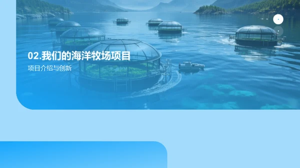 海洋牧场：创新养殖