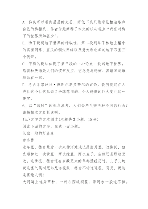 2023年高考真题(全国乙卷)语文试题及答案.docx