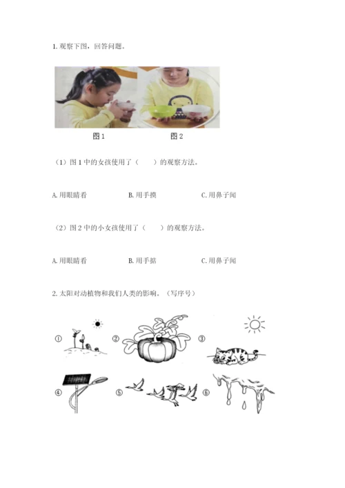 教科版二年级上册科学期末测试卷【精选题】.docx
