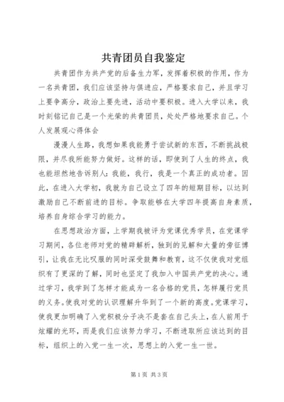 共青团员自我鉴定 (11).docx