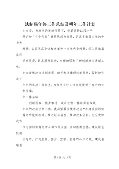 法制局年终工作总结及明年工作计划.docx