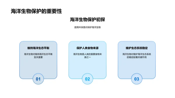 海洋生物知识讲座