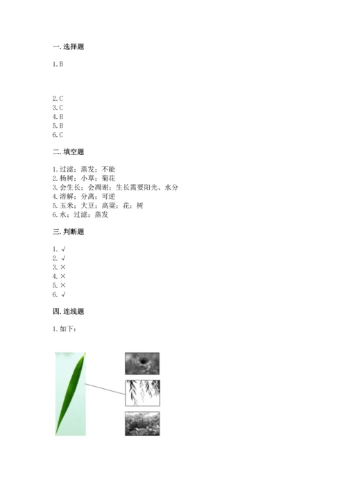 教科版科学一年级上册第一单元《植物》测试卷及参考答案【a卷】.docx