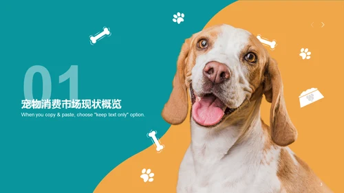 2022年中国宠物消费调研报告