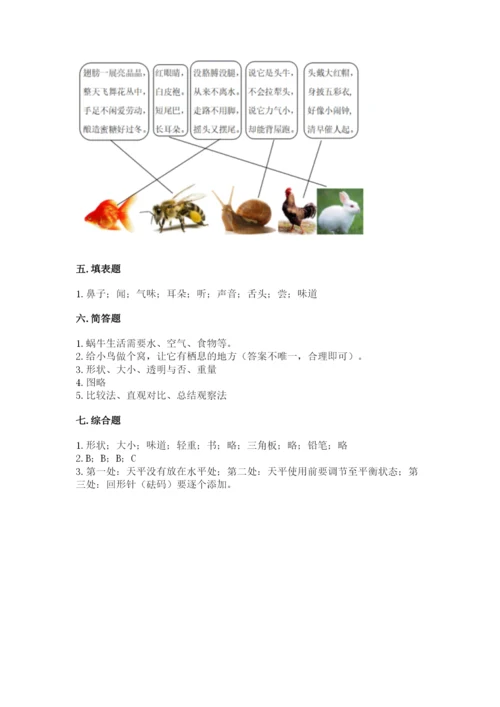 教科版一年级下册科学期末测试卷附答案（培优a卷）.docx