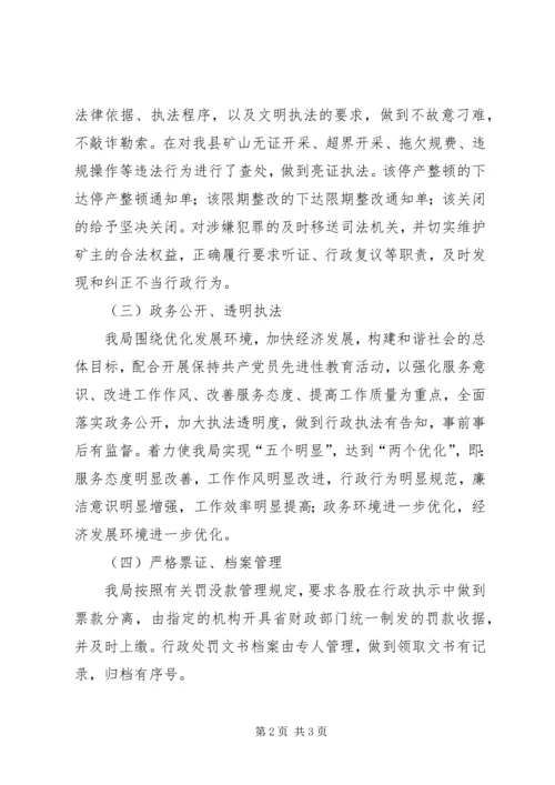 县矿管局行政执法情况自查报告.docx