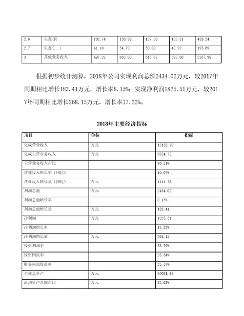 武汉新建头盔项目预算报告