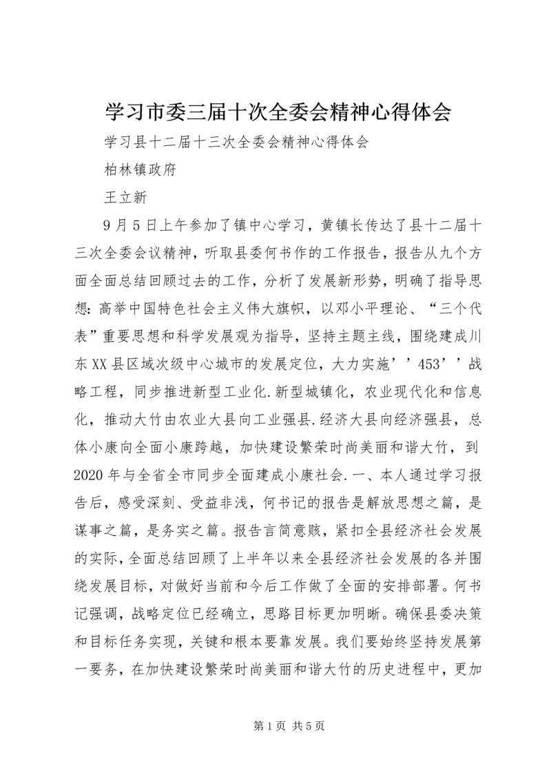 学习市委三届十次全委会精神心得体会 (3).docx