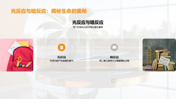 绿色能源之源