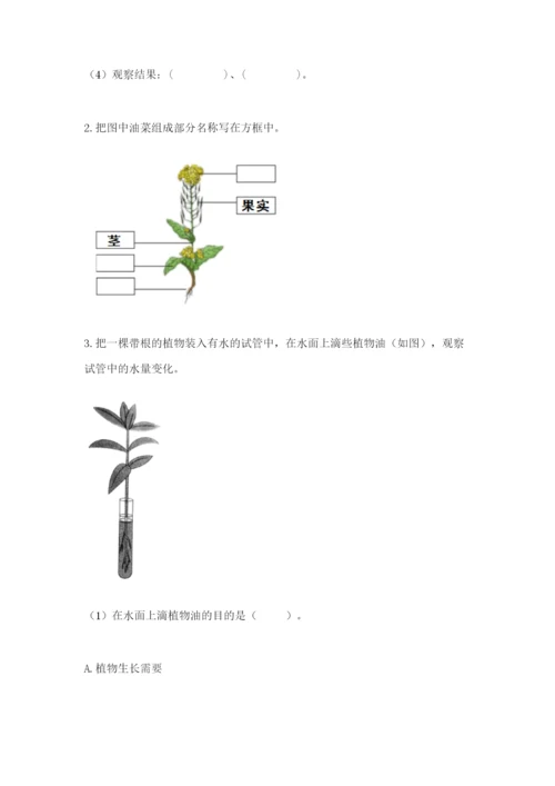 科学四年级下册第一单元植物的生长变化测试卷附参考答案（名师推荐）.docx