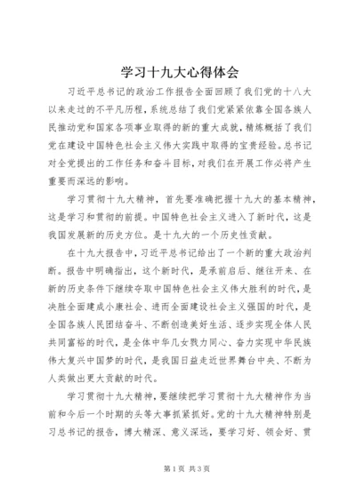 学习十九大心得体会 (16).docx