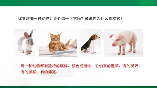 人教版一年级下册美术14《可爱的动物》精品课件