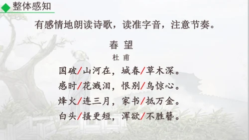 26 诗词五首《春望》课件