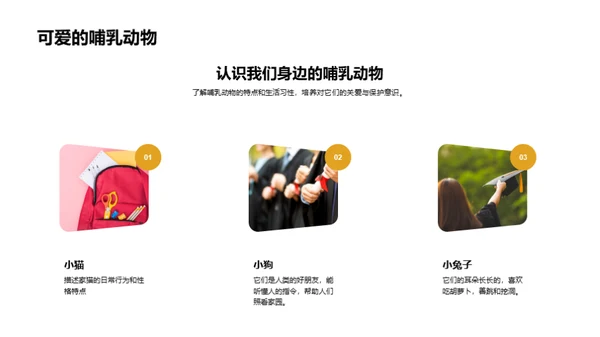 我们的小小动物园