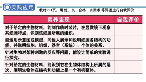 人教版生物七年级上册第一单元《生物与细胞》单元复习课件(共53张PPT)