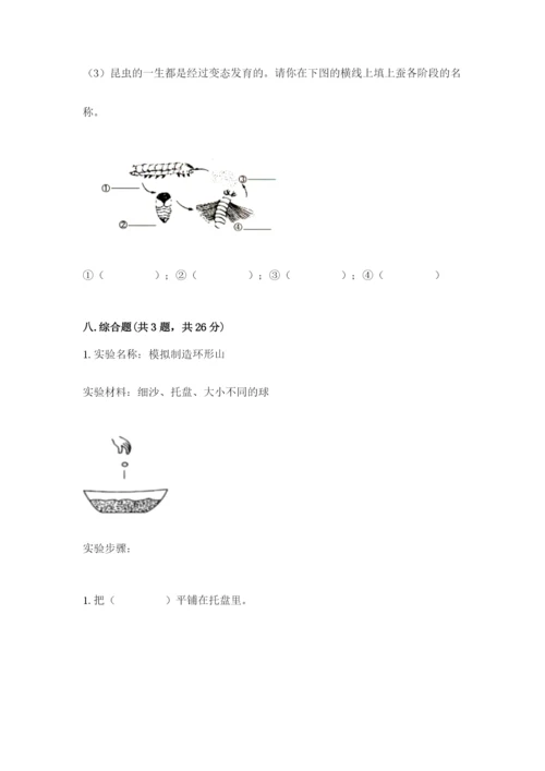 教科版小学科学三年级下册期末测试卷【b卷】.docx