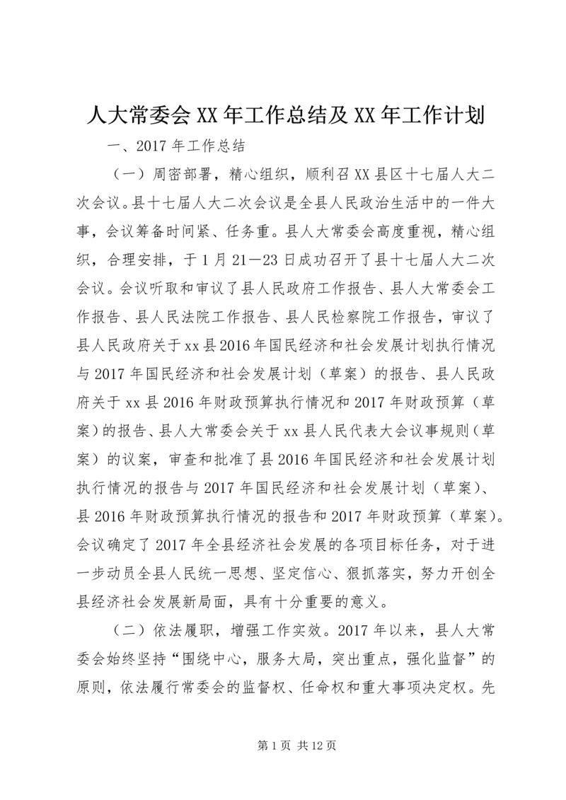 人大常委会某年工作总结及某年工作计划.docx