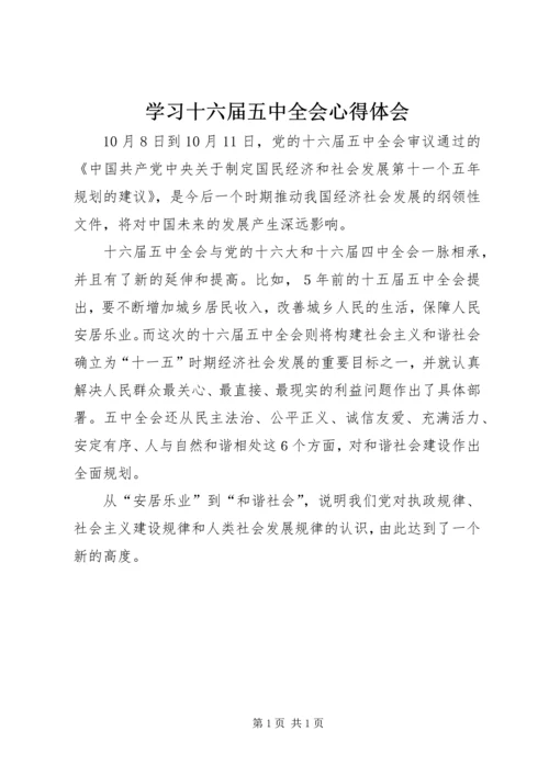 学习十六届五中全会心得体会 (2).docx