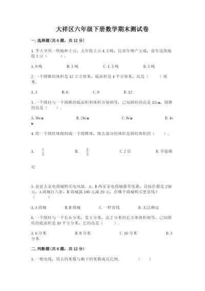 大祥区六年级下册数学期末测试卷精编答案.docx