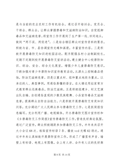 乡镇综治维护及禁毒防艾工作汇报.docx