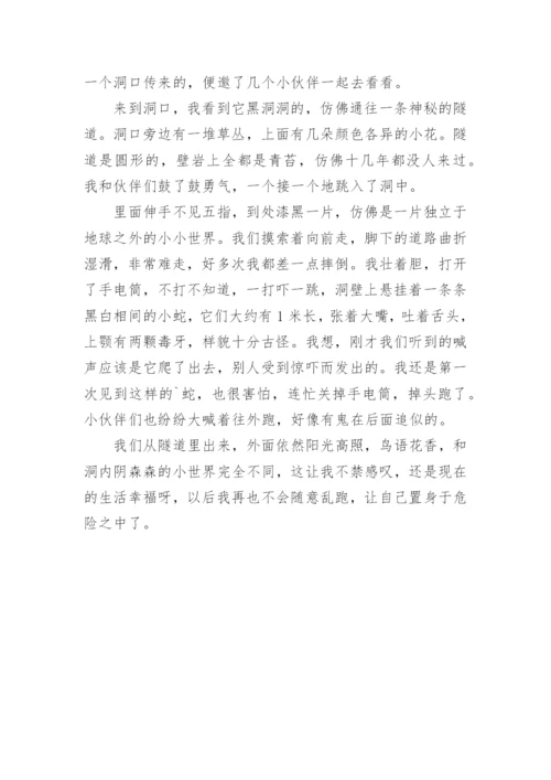 神奇的探险之旅作文400字范文.docx